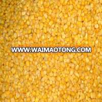 natural golden corn price in china